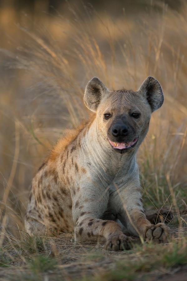 Southern Sands Eco Hoedspruit